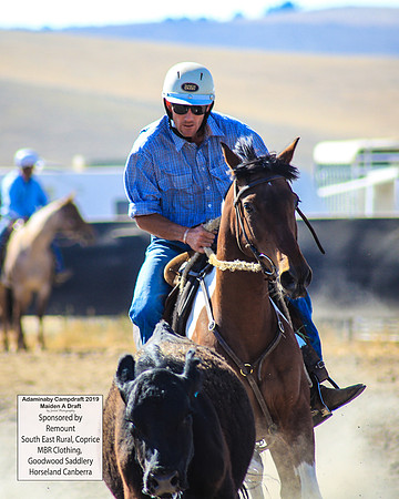 AdaminabyCampdraft2019_0210