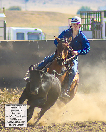 AdaminabyCampdraft2019_0247