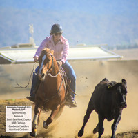 AdaminabyCampdraft2019_0048