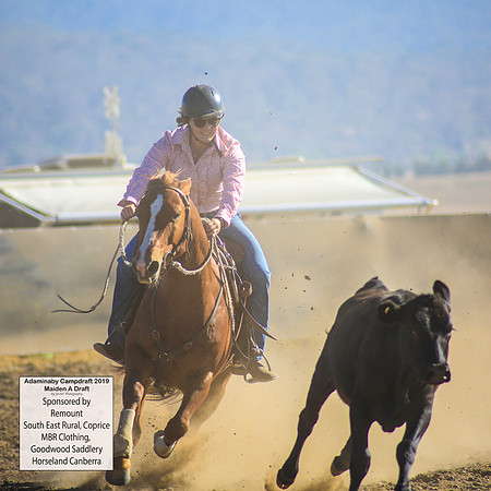 AdaminabyCampdraft2019_0048