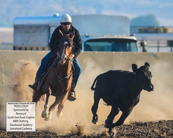 AdaminabyCampdraft2019_1609