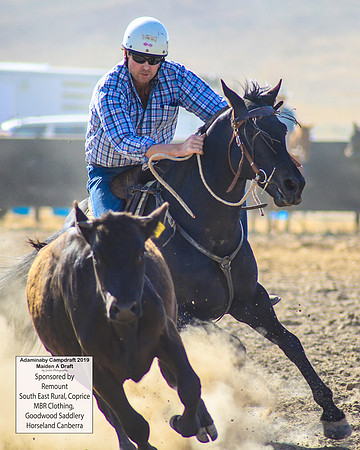 AdaminabyCampdraft2019_0185