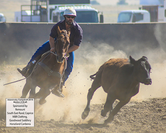 AdaminabyCampdraft2019_0220
