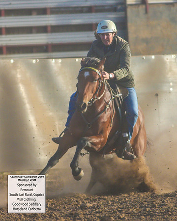 AdaminabyCampdraft2019_1598