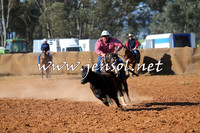 IllaboCampdraft2014_0654