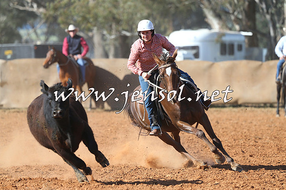 IllaboCampdraft2014_0603