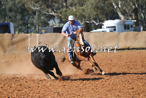 IllaboCampdraft2014_0647