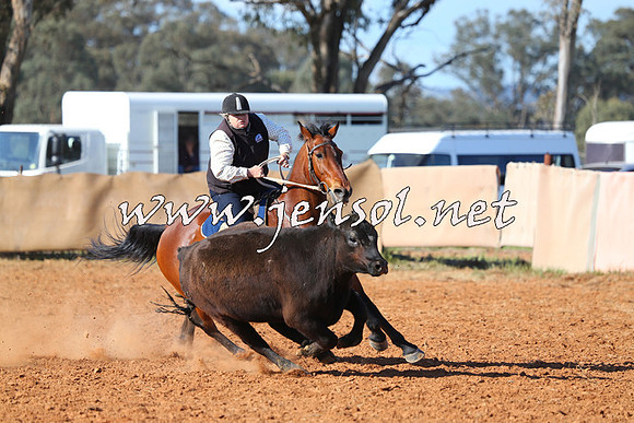 IllaboCampdraft2014_0668