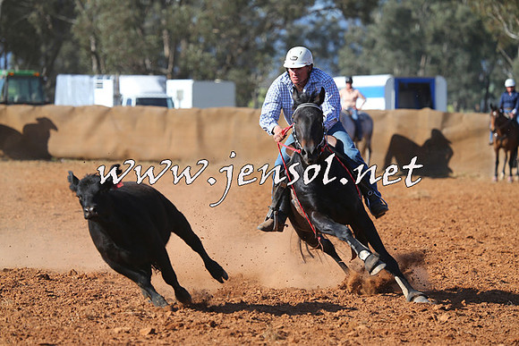 IllaboCampdraft2014_0677