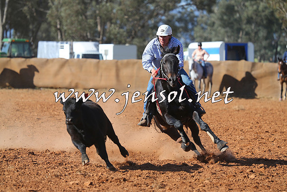 IllaboCampdraft2014_0676