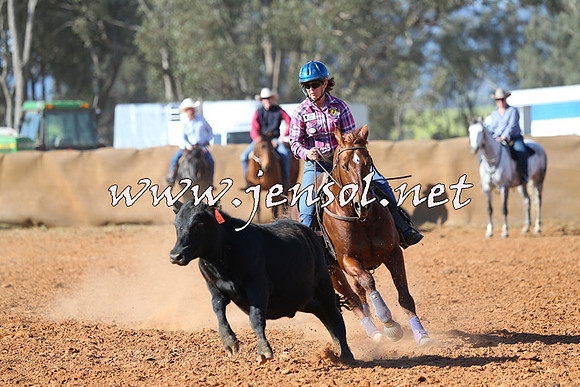 IllaboCampdraft2014_0640