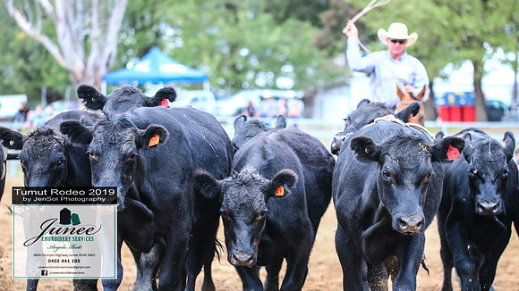 TumutRodeo2019_0376