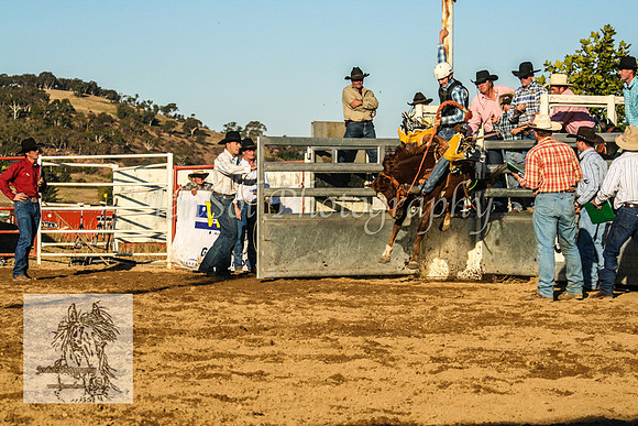 Goulburn2008_ 187