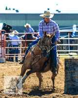 Goulburn2008_ 013