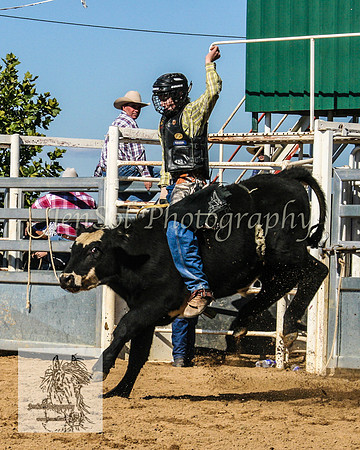 Goulburn2008_ 109