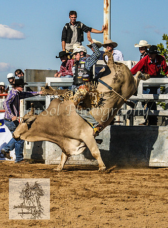 Goulburn2008_ 128
