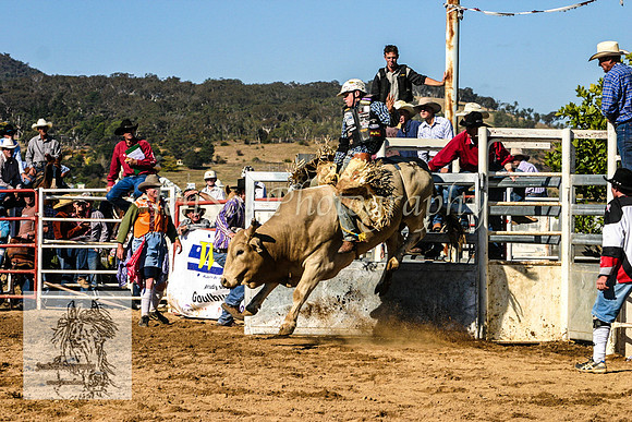 Goulburn2008_KJS 060