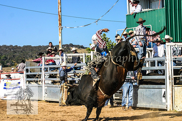 Goulburn2008_KJS 055