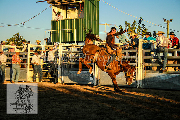 Goulburn2008_ 252