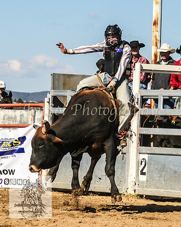 Goulburn2008_ 116