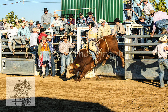 Goulburn2008_ 201