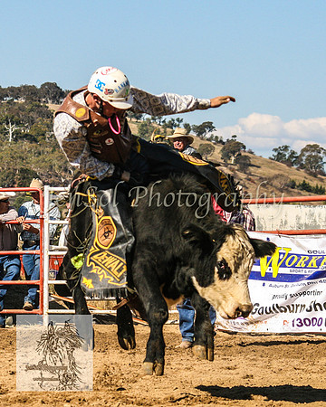 Goulburn2008_ 106