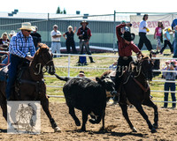 Goulburn2008_ 031