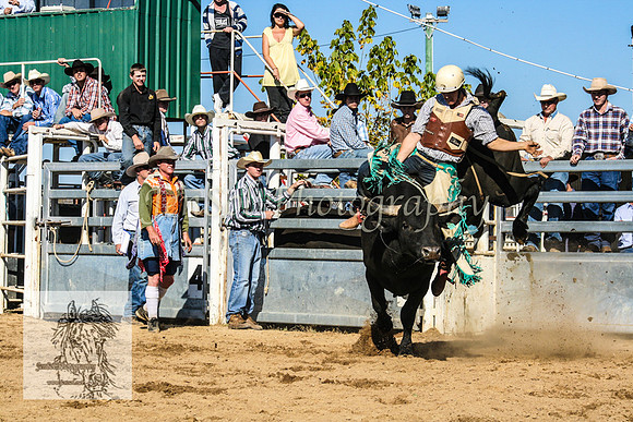 Goulburn2008_ 126