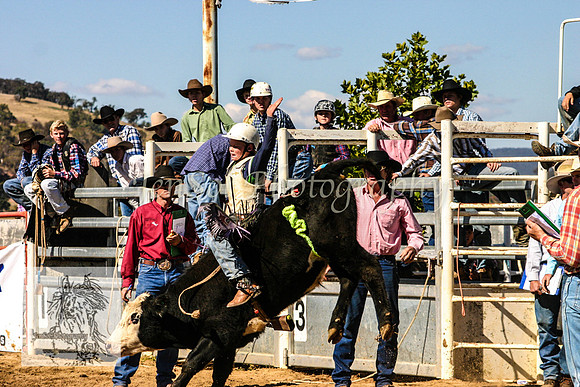 Goulburn2008_KJS 044