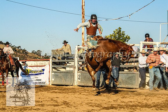 Goulburn2008_ 182