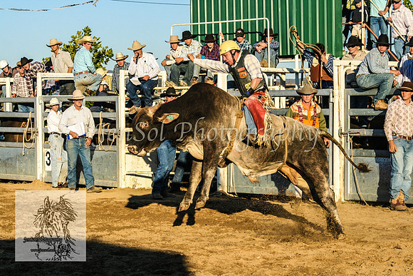 Goulburn2008_ 203