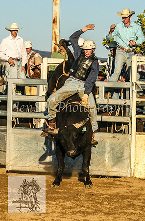 Goulburn2008_ 206