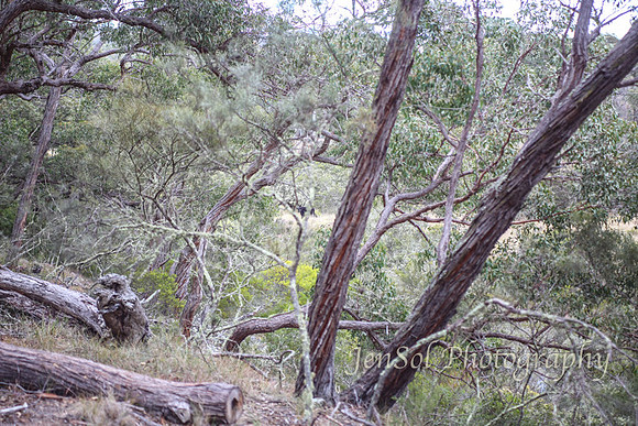 QueenslandJun2019_0065