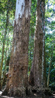 QueenslandJun2019_0005