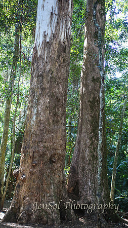 QueenslandJun2019_0005