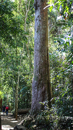 QueenslandJun2019_0003