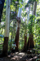 QueenslandJun2019_0001