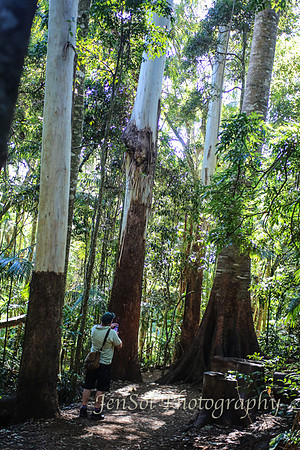 QueenslandJun2019_0001