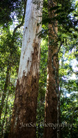 QueenslandJun2019_0006