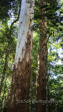 QueenslandJun2019_0006