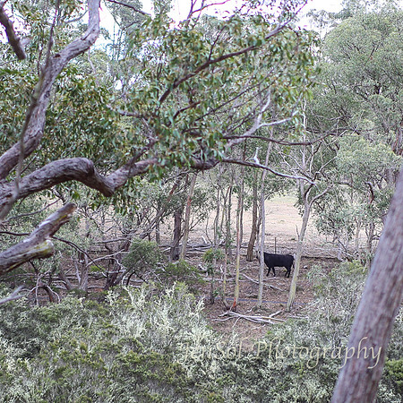 QueenslandJun2019_0069