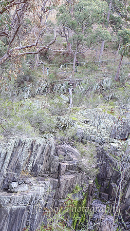 QueenslandJun2019_0071