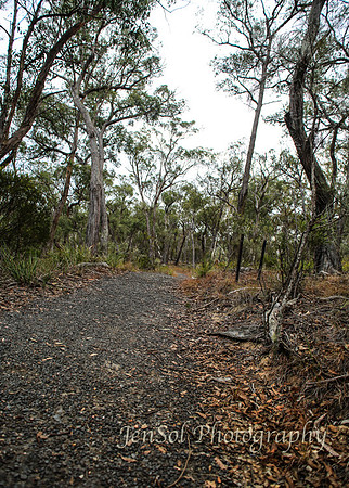 QueenslandJun2019_0064