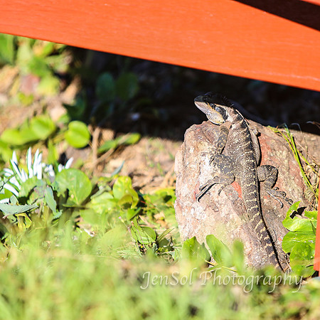 QueenslandJun2019_0120