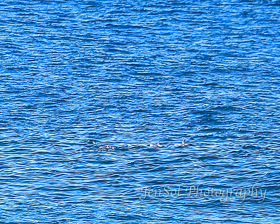 QueenslandJun2019_0110