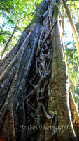 QueenslandJun2019_0016