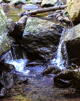QueenslandJun2019_0017