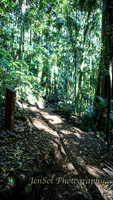 QueenslandJun2019_0014