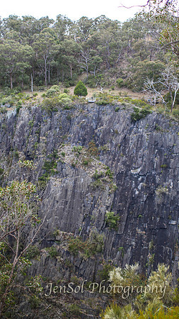 QueenslandJun2019_0075