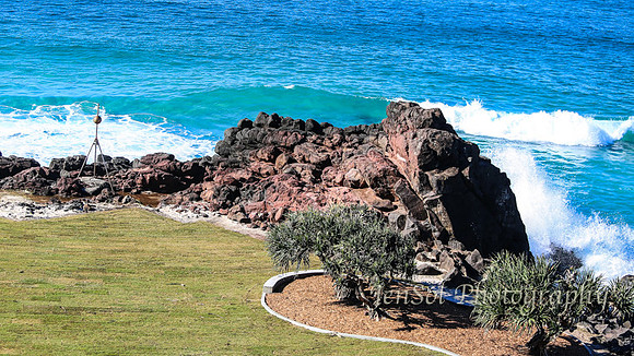 QueenslandJun2019_0097